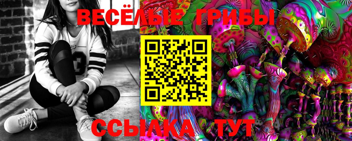 Псилоцибиновые грибы мицелий Великий Устюг