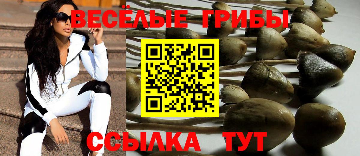 Великий Устюг  Псилоцибиновые грибы Psilocybe  Вход с VPN  Галлюциногенные грибы Psilocybe 